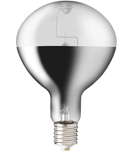 Amazon | 岩崎電気 アイ セルフバラスト水銀ランプ BHRF100/110V160WH